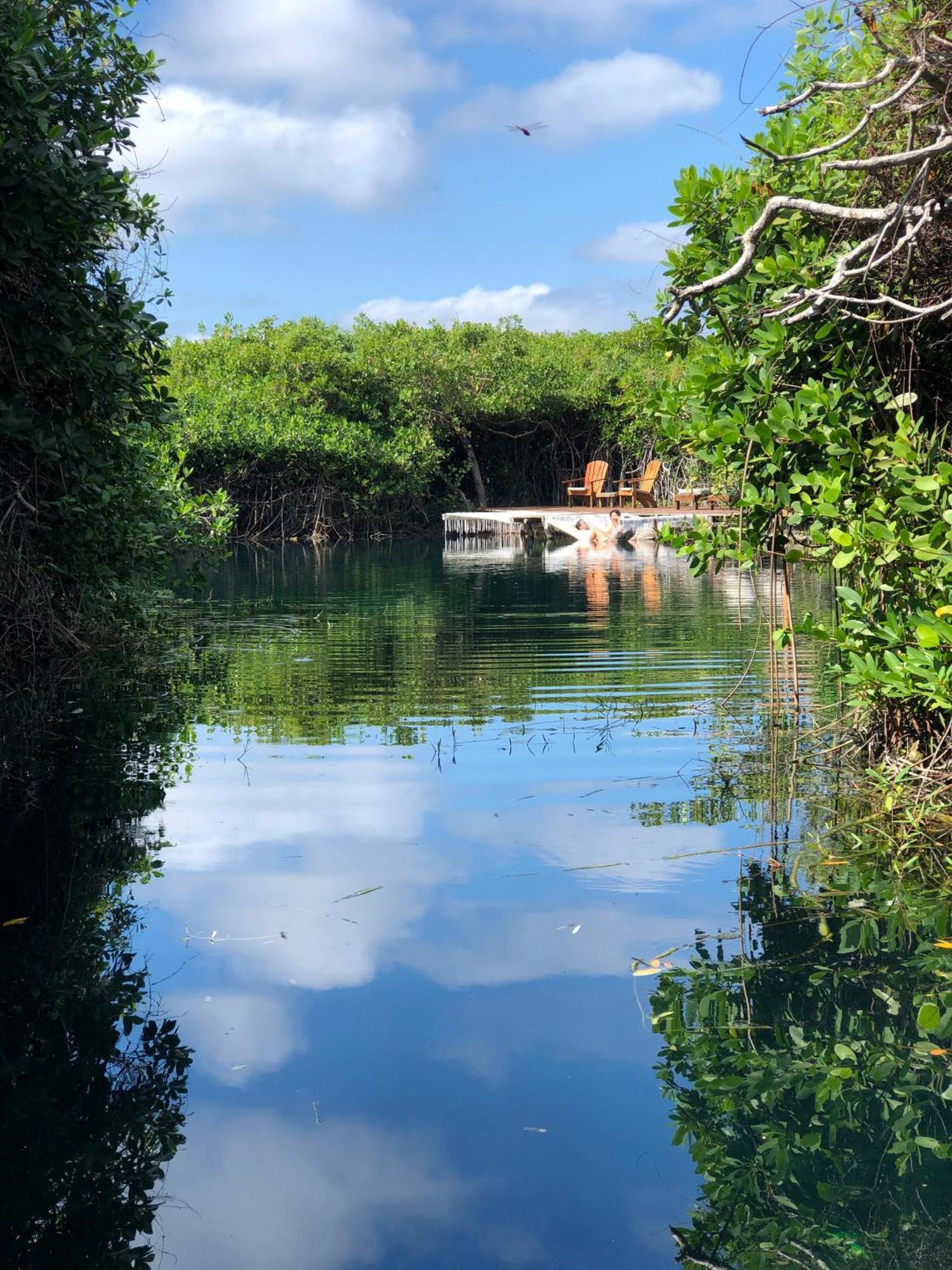 Cabanas Tulum - Aldea Mangle & Cenote Dış mekan fotoğraf