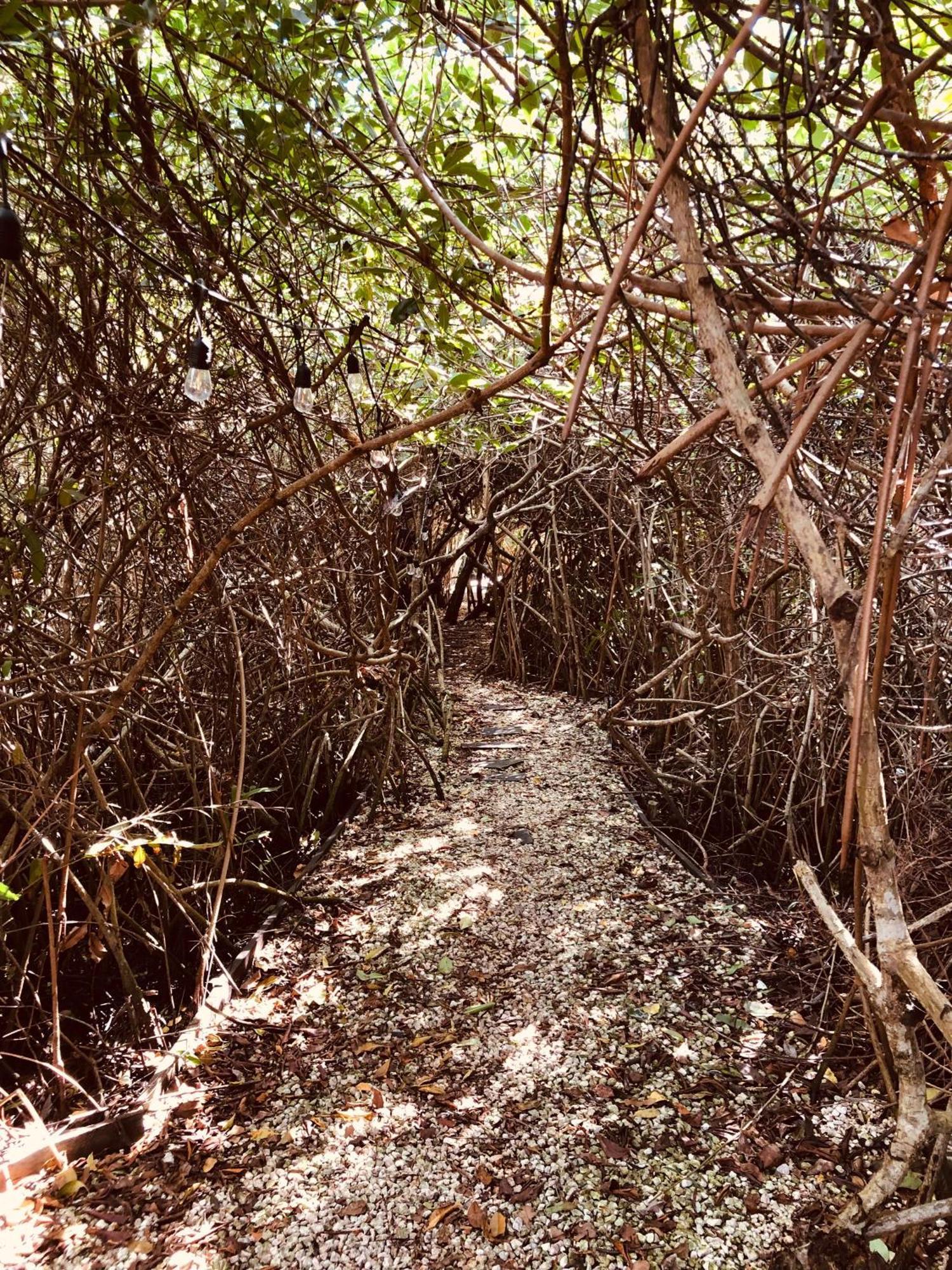 Cabanas Tulum - Aldea Mangle & Cenote Dış mekan fotoğraf