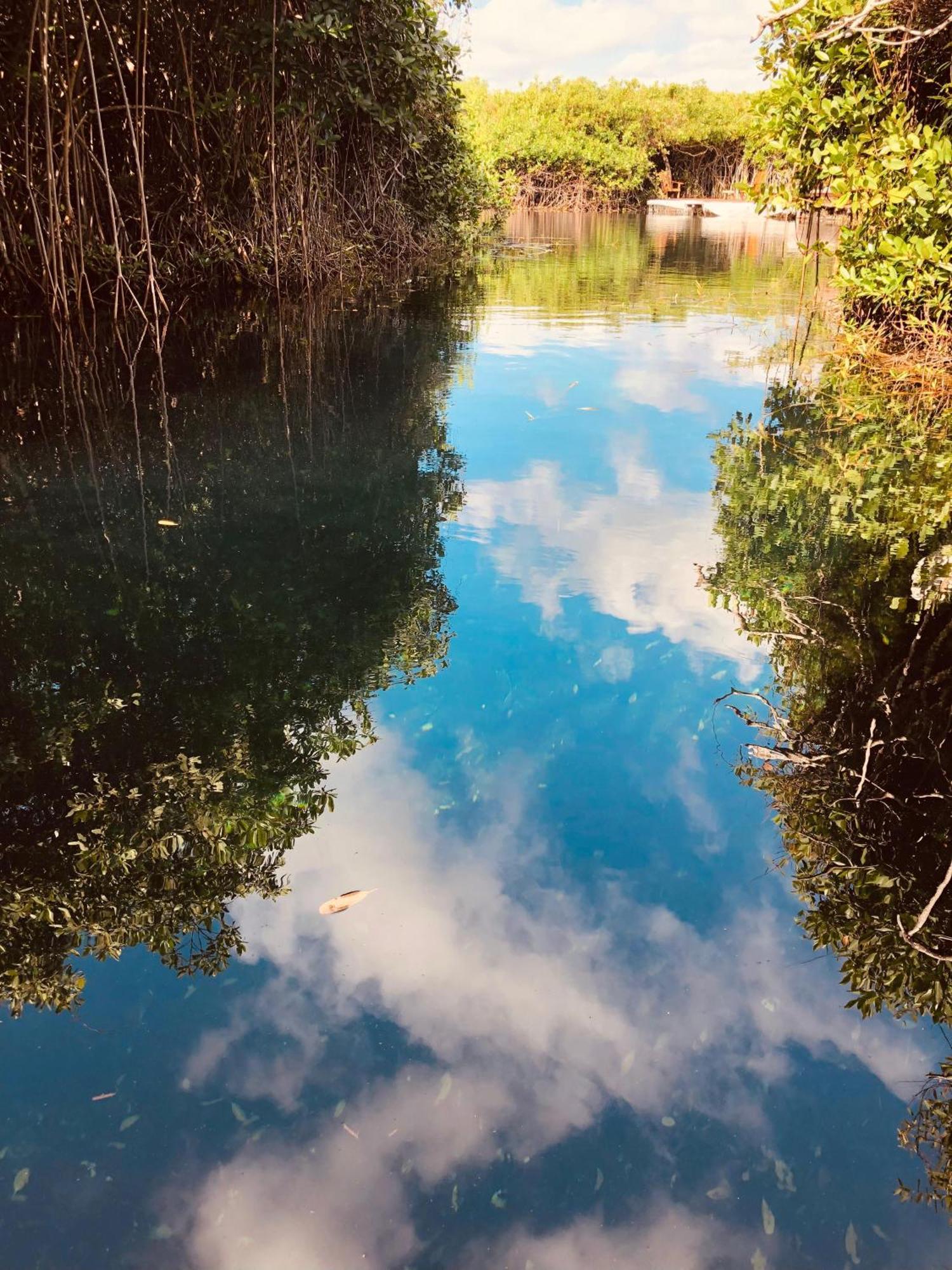 Cabanas Tulum - Aldea Mangle & Cenote Dış mekan fotoğraf