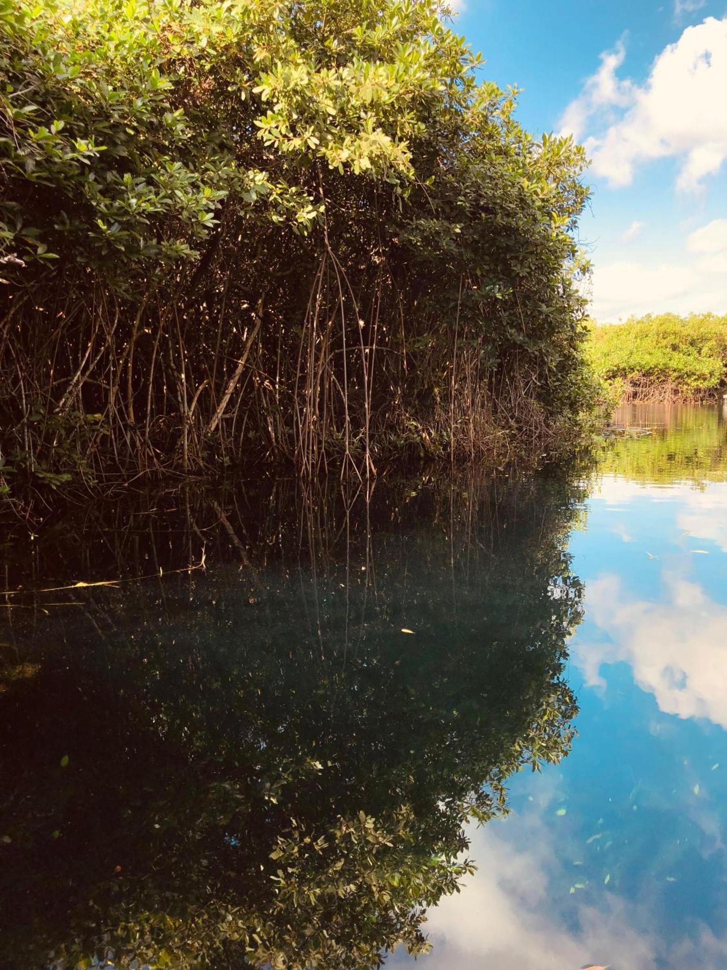 Cabanas Tulum - Aldea Mangle & Cenote Dış mekan fotoğraf