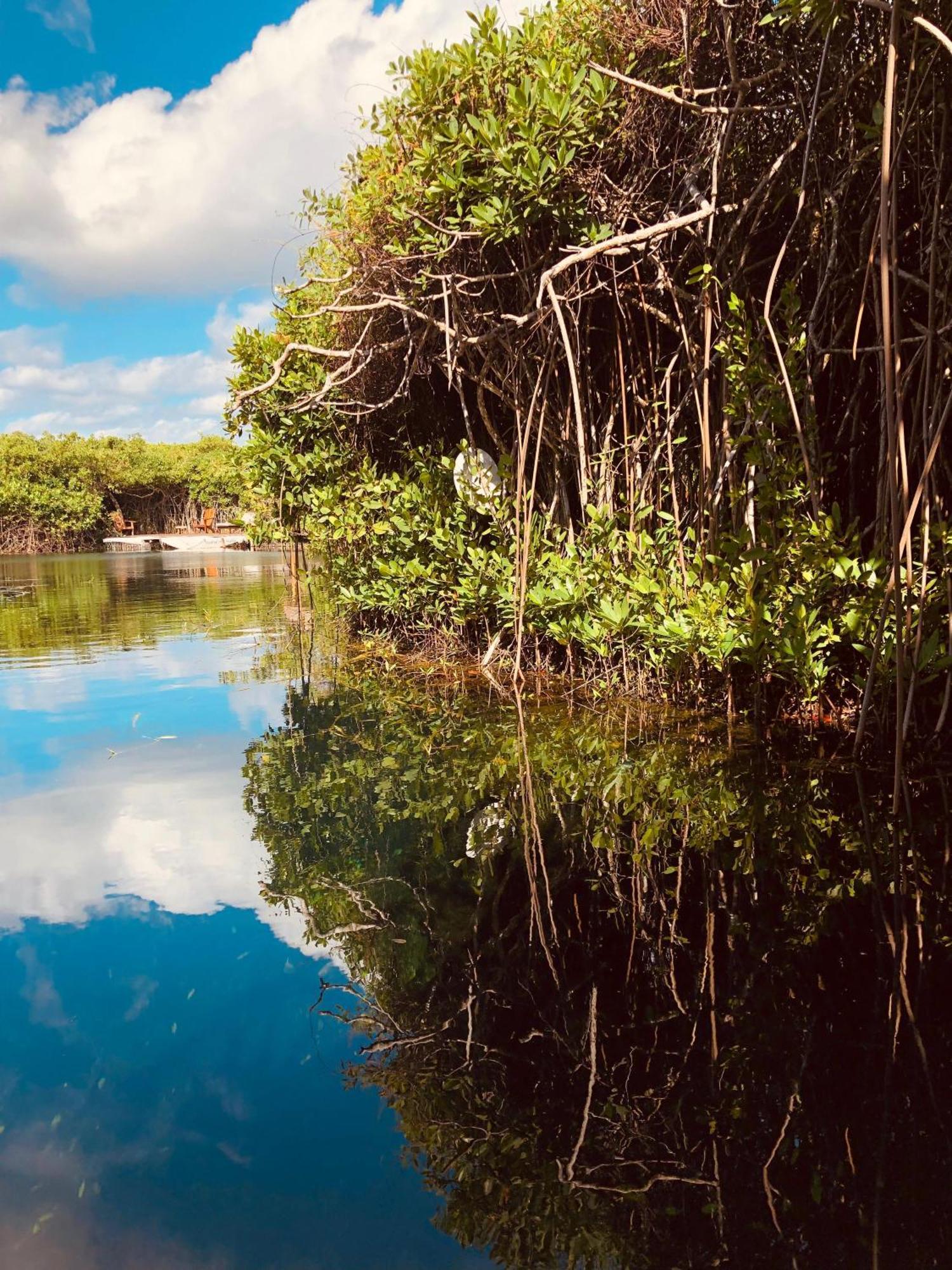 Cabanas Tulum - Aldea Mangle & Cenote Dış mekan fotoğraf