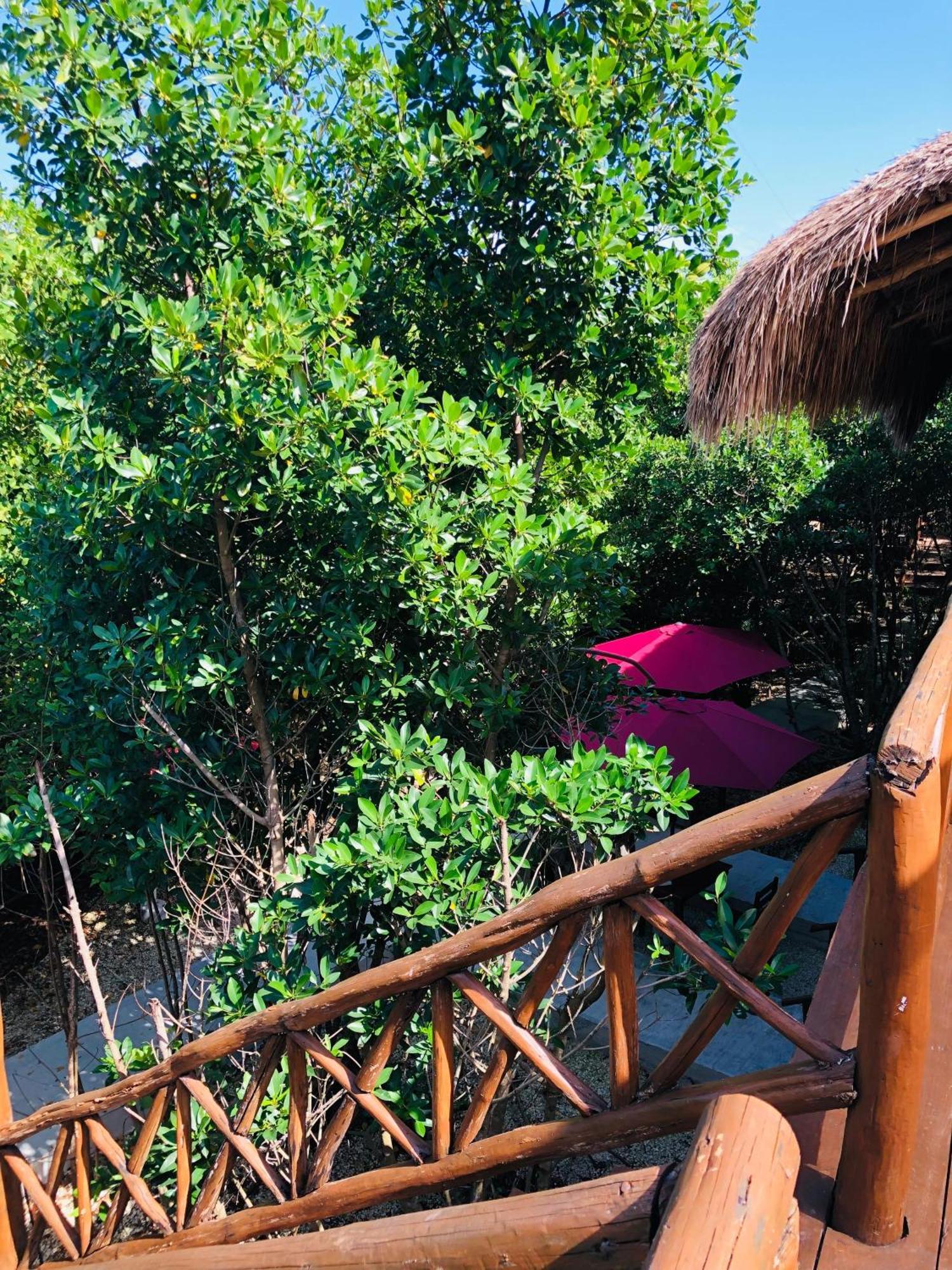 Cabanas Tulum - Aldea Mangle & Cenote Dış mekan fotoğraf